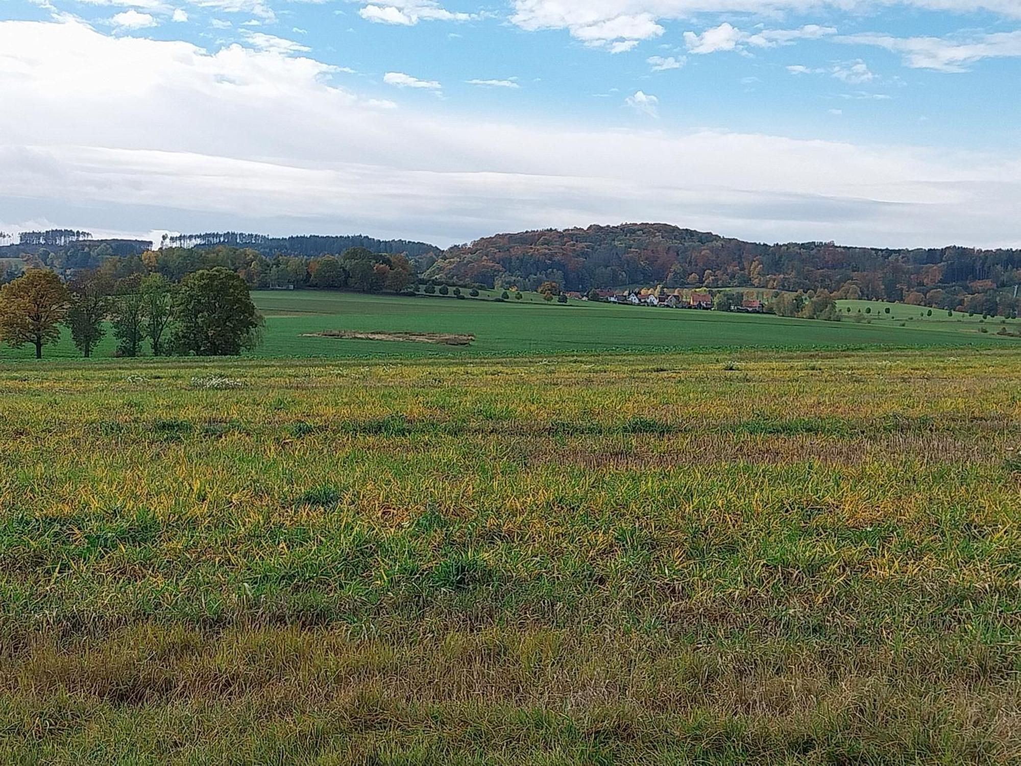 Landhotel Waldschloesschen Mit Gaststube Sohland an der Spree Eksteriør bilde