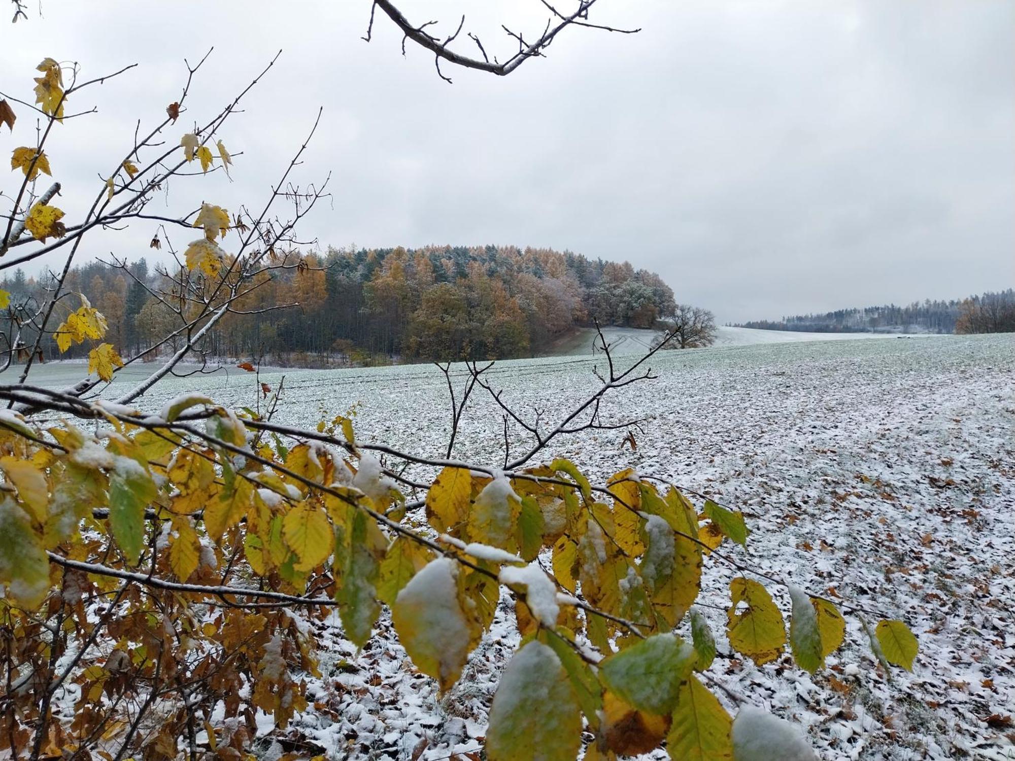 Landhotel Waldschloesschen Mit Gaststube Sohland an der Spree Eksteriør bilde