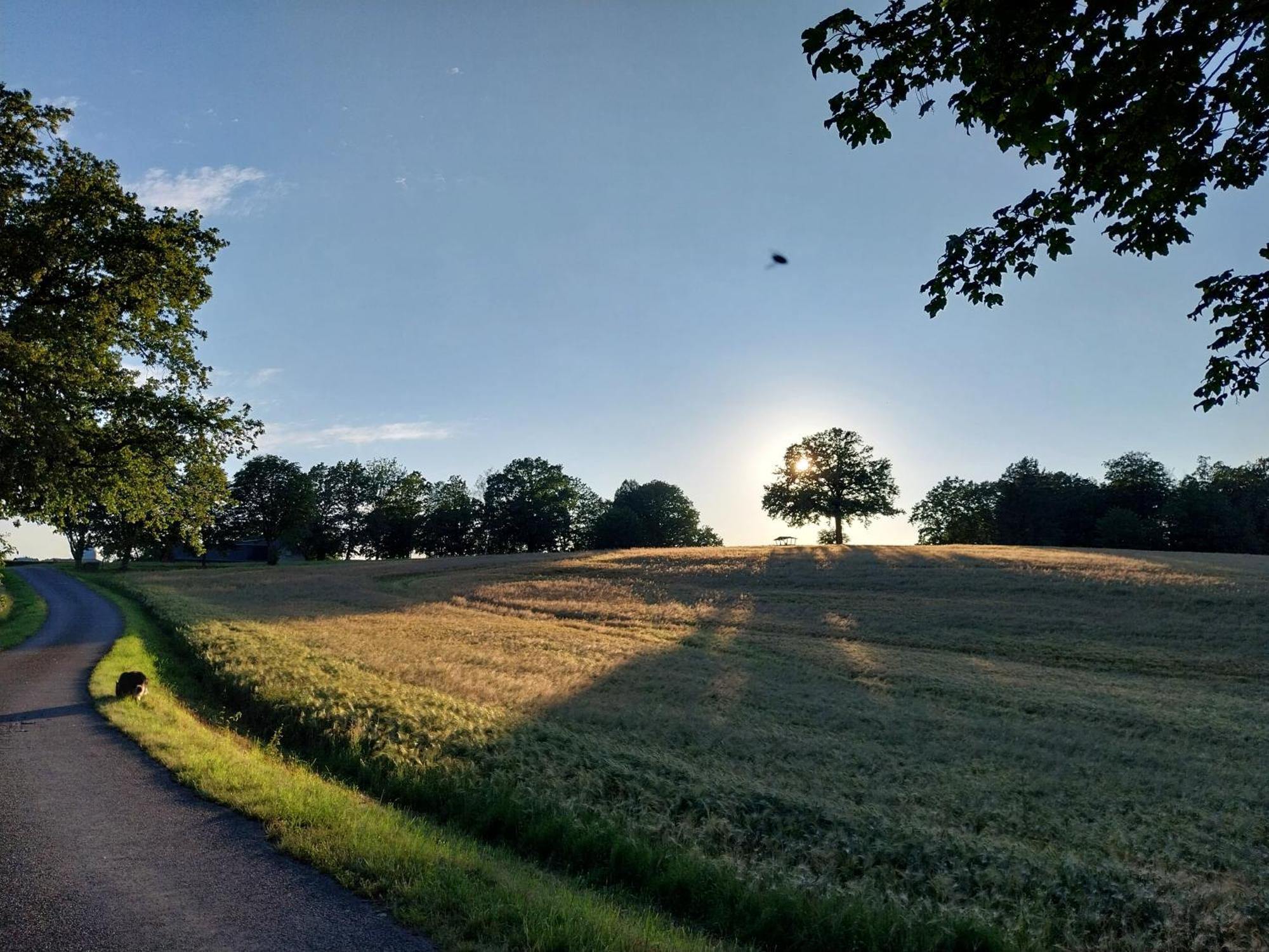 Landhotel Waldschloesschen Mit Gaststube Sohland an der Spree Eksteriør bilde